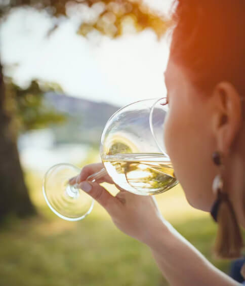Baltimore winery tours