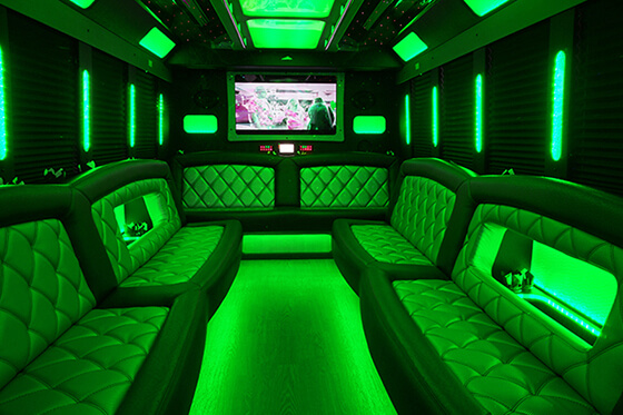 30-passenger party bus rental